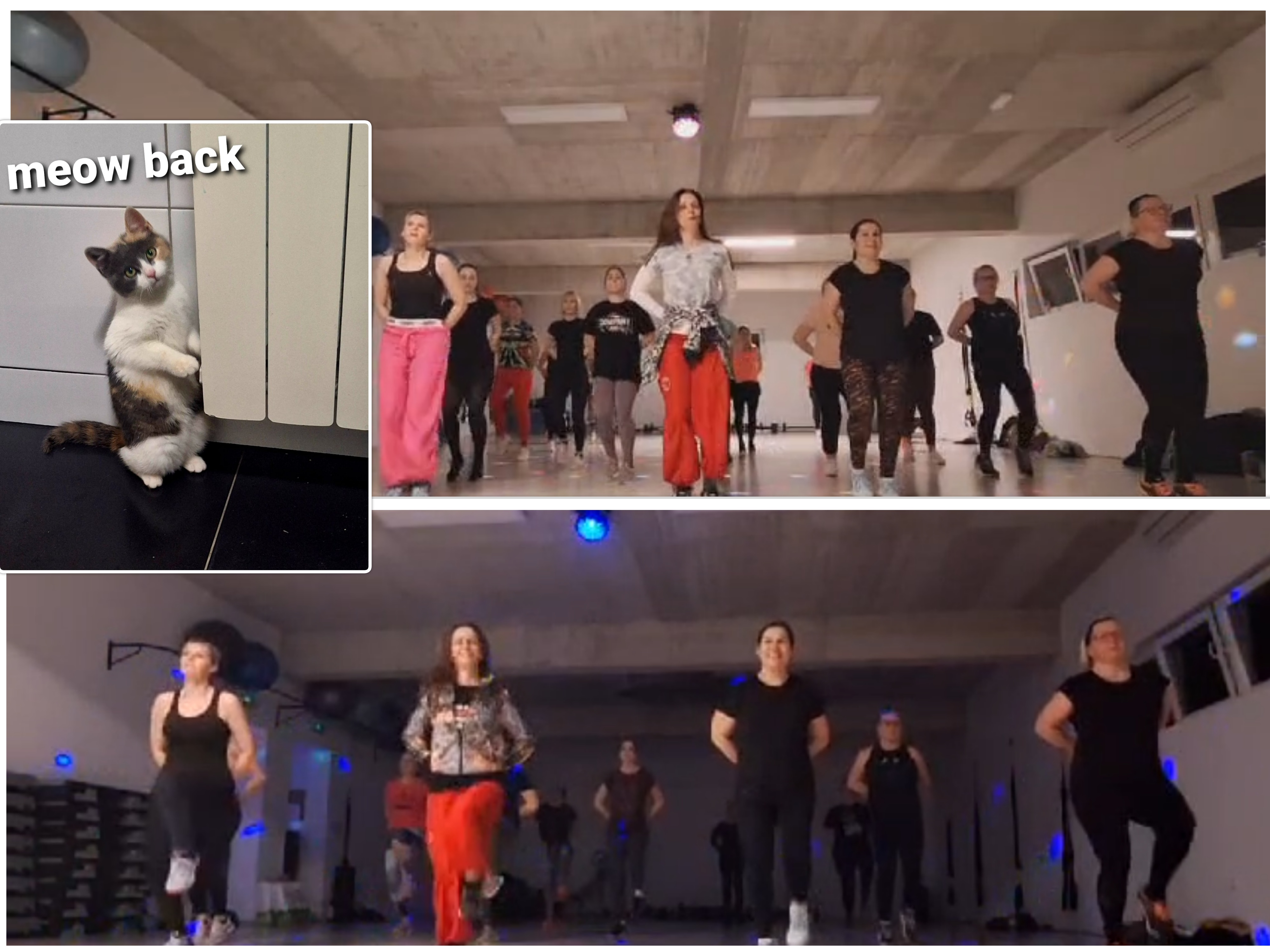 VIDEO Porečanke zaplesale na Rim Tim Tagi Dim ZUMBA INSPIRIRANA BABY LASAGNOM